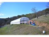 12950 Highway 234 - Photo 2