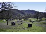 12950 Highway 234 - Photo 8