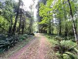  Fairdale Rd - Photo 18