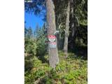 30 Nymark Dr - Photo 3
