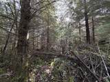  Necanicum Hwy - Photo 1