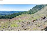 0 Snowberry Rd - Photo 10