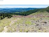 0 Snowberry Rd - Photo 11