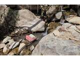 0 Snowberry Rd - Photo 21