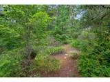 1639 Willow Loop - Photo 8