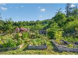 37758 Harrison Ln - Photo 35