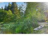 37758 Harrison Ln - Photo 37