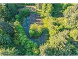 37758 Harrison Ln - Photo 39