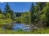 61844 Old Wagon Rd - Photo 13