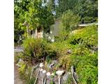 47501 Westoak Rd - Photo 6