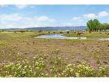 20352 Airport Ln - Photo 45
