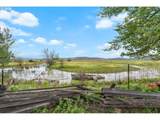20352 Airport Ln - Photo 6