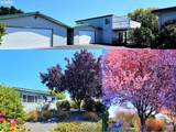 15961 Bay View Dr - Photo 47