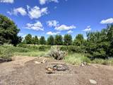 29843 Royce Ln - Photo 9