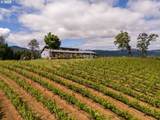 12000 Old Wagon Rd - Photo 46
