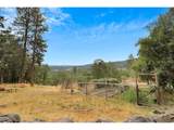 2520 Carroll Rd - Photo 3
