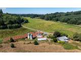 94540 Willanch Ln - Photo 5
