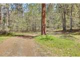 2215 Pine Oak Rd - Photo 47