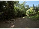209 Sunset Dr - Photo 39