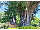 15954 Short Way - Photo 44