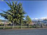 10 Peach Ln - Photo 2
