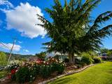 10 Peach Ln - Photo 23