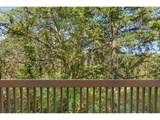 14315 Cougar Ridge Dr - Photo 16