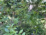 3801 Plum St - Photo 30