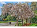 1208 Mcloughlin Blvd - Photo 36