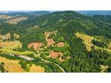 49629 Highway 242 - Photo 2