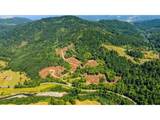 49629 Highway 242 - Photo 3