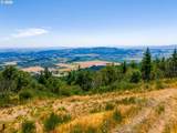  Moutain Top - Photo 10