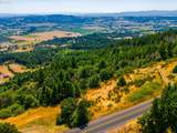  Moutain Top - Photo 16