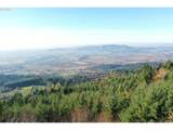  Moutain Top - Photo 21