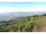  Moutain Top - Photo 22