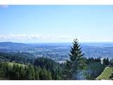  Moutain Top - Photo 23