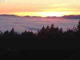 Moutain Top - Photo 24