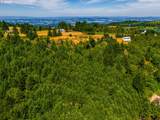  Moutain Top - Photo 6