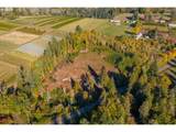 30945 Lusted Rd - Photo 31