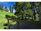 1349 Willis Creek Rd - Photo 35