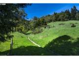 1349 Willis Creek Rd - Photo 42