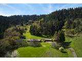 1349 Willis Creek Rd - Photo 44