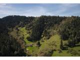 1349 Willis Creek Rd - Photo 45