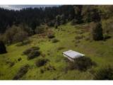 1349 Willis Creek Rd - Photo 46