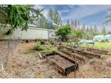 23861 442ND Ave - Photo 47