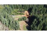 25797 Siuslaw River Rd - Photo 11