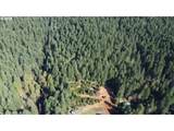 25797 Siuslaw River Rd - Photo 13