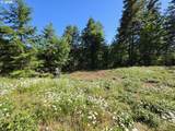 25797 Siuslaw River Rd - Photo 3