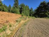 25797 Siuslaw River Rd - Photo 6