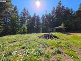 25797 Siuslaw River Rd - Photo 7
